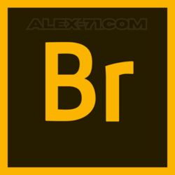 _Adobe Bridge Free Download