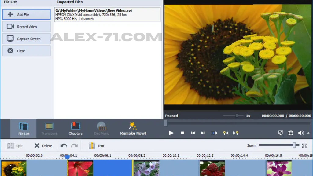 AVS Video Remaker Download