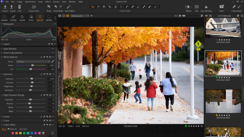 Capture One Styles Pack Download