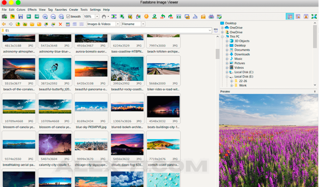 Download FastStone Image Viewer