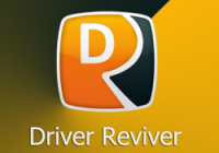 Driver Reviver License