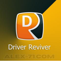 Driver Reviver License