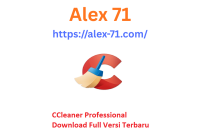 ccleaner professional download full