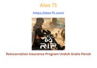 Reincarnation Insurance Program